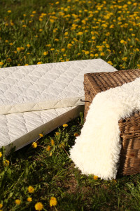 Матрац "Маленькая соня" Холотекс 5 см 